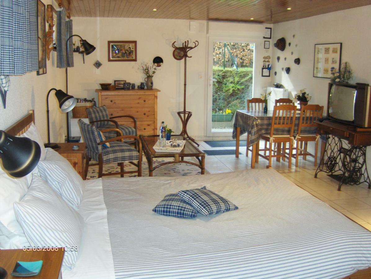 Chambre D'Hotes Au Canal Illkirch-Graffenstaden ภายนอก รูปภาพ